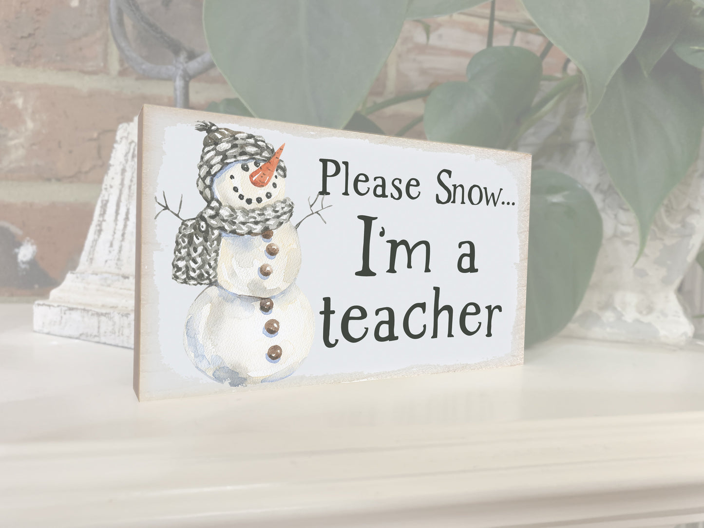 Please Snow. I'm a Teacher