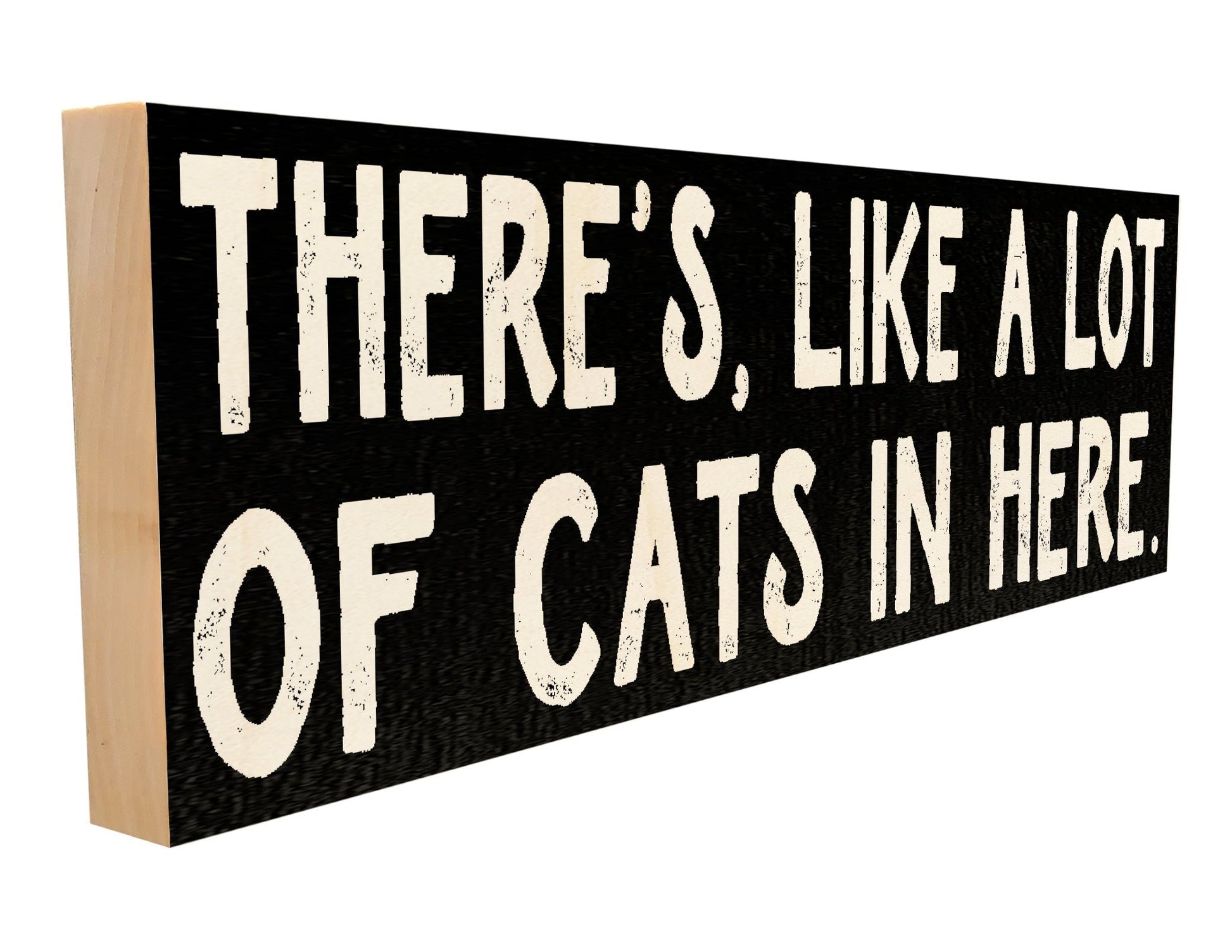 There's Like a Lot of Cats in Here.